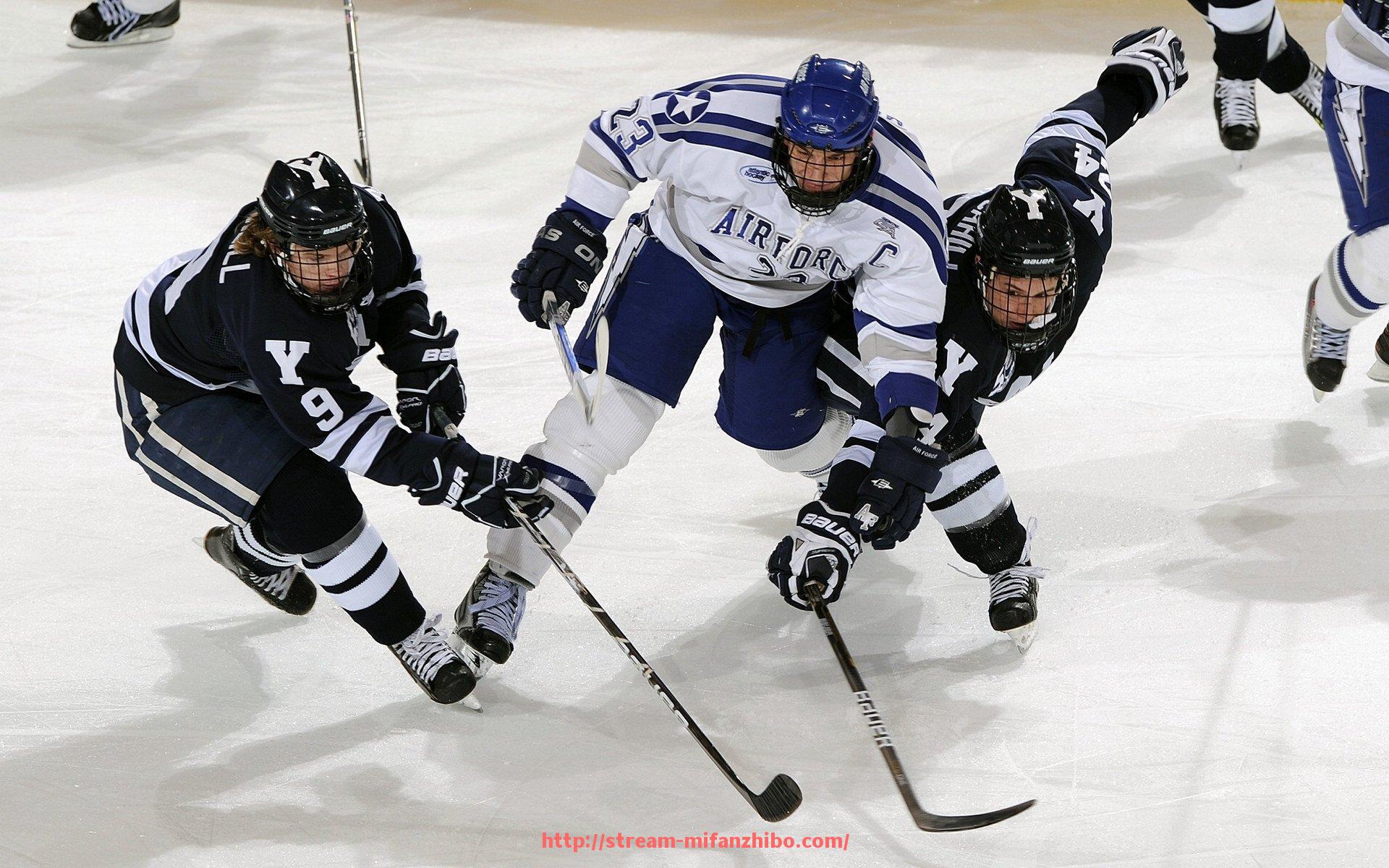 秘饭直播-综合锻炼胸肌腹肌的多功能健身器材推荐